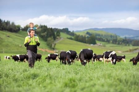 Taupo Pure Farms