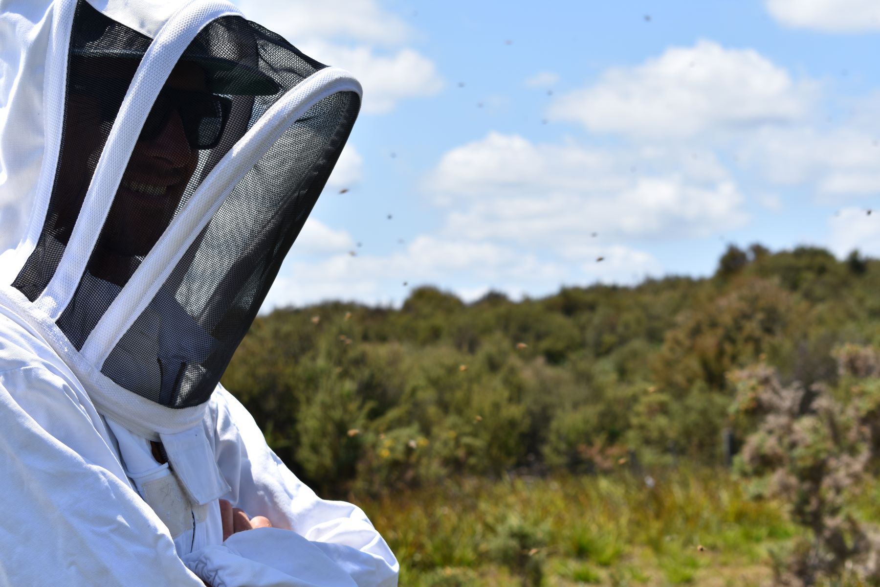 Native Kiwi Beekeeper