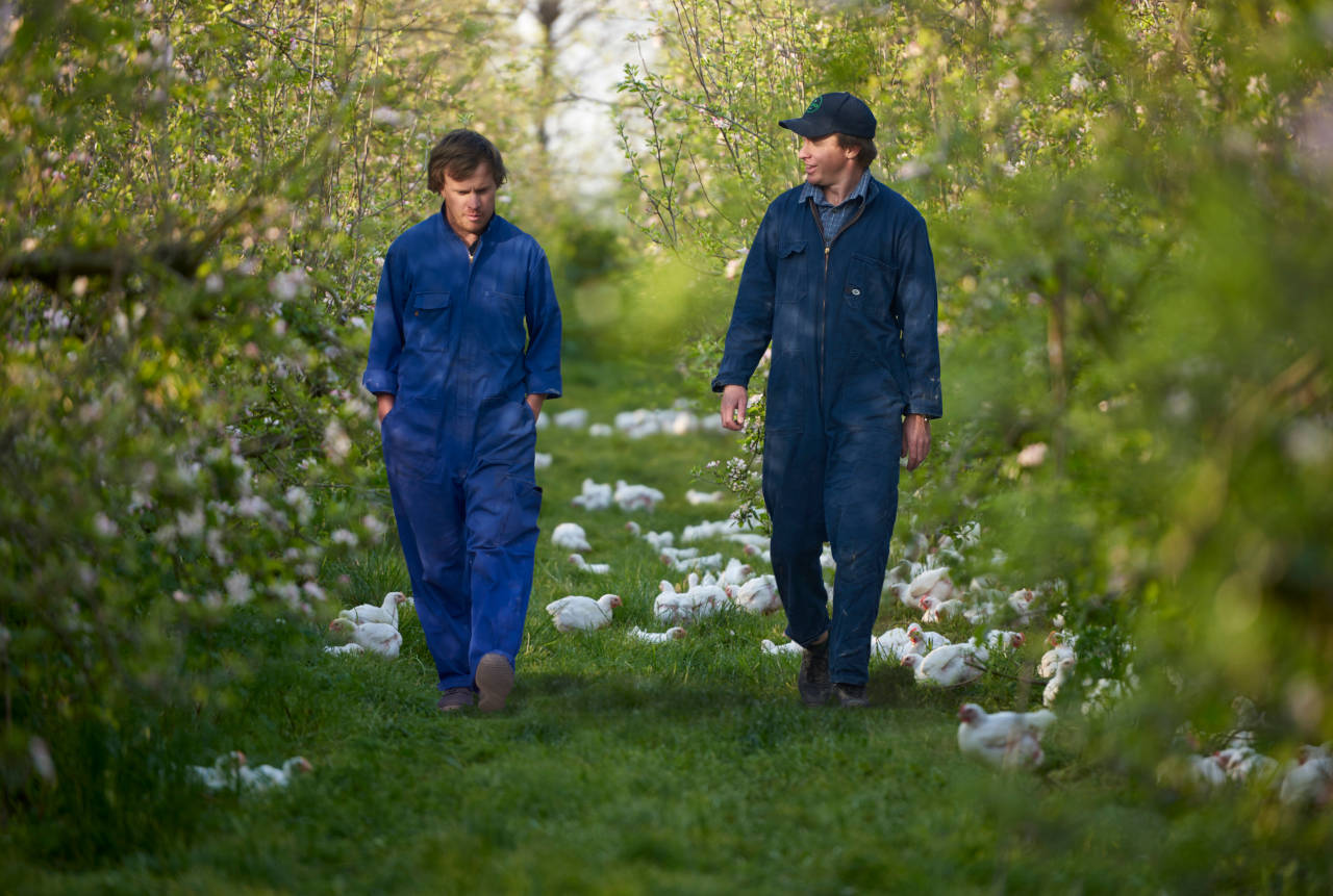 Ben and George in orchard