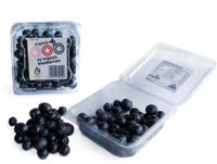 OOB Fresh Blueberries